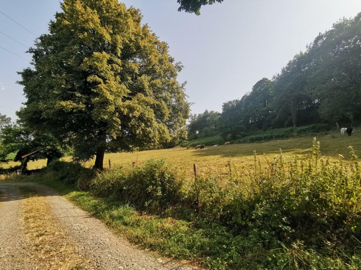 Domaine Lvd Avec Spa, Bois Et Riviere Privee La Bloutiere Exterior foto