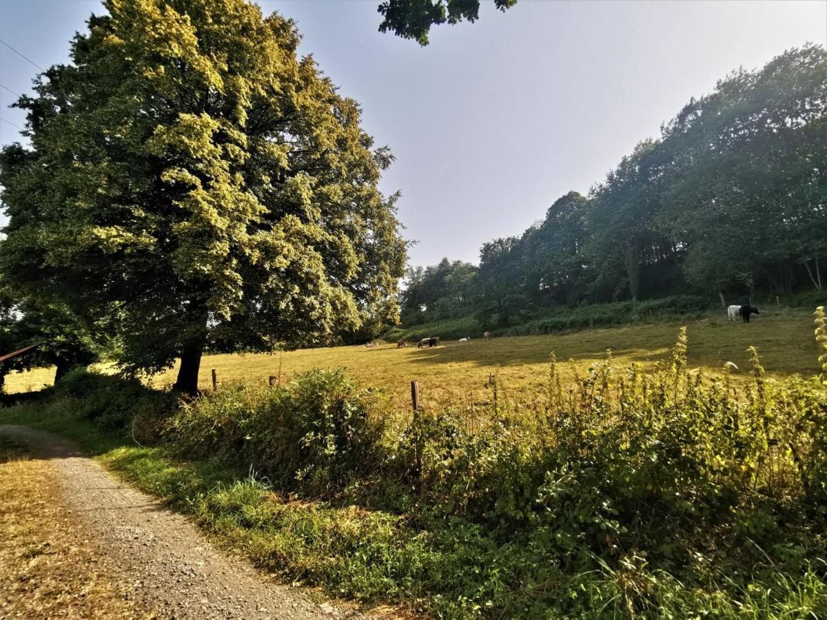 Domaine Lvd Avec Spa, Bois Et Riviere Privee La Bloutiere Exterior foto